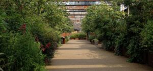 csv blog (5)